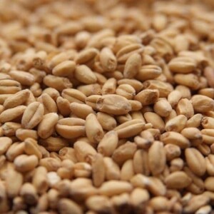 White Wheat - Rahr Malting