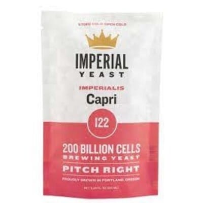 Imperial Yeast I22